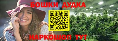 амф Новодвинск