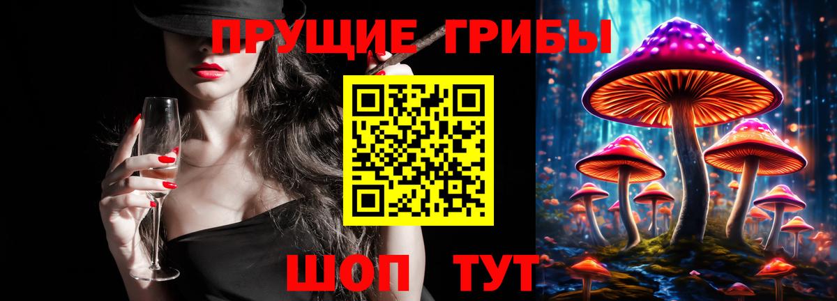 Псилоцибиновые грибы Psilocybe  Вход с VPN  Рассказово 